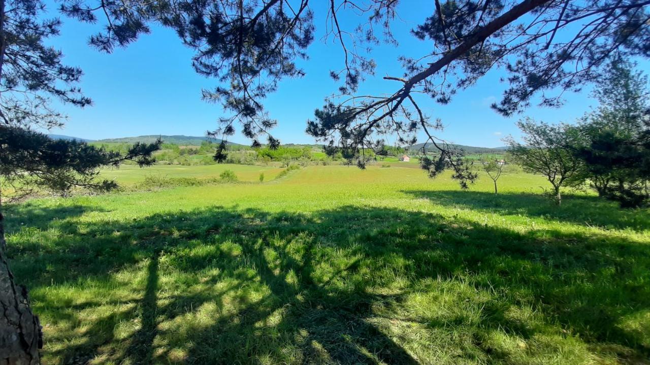 Tiny House Grabovac Villa Rakovica Dış mekan fotoğraf