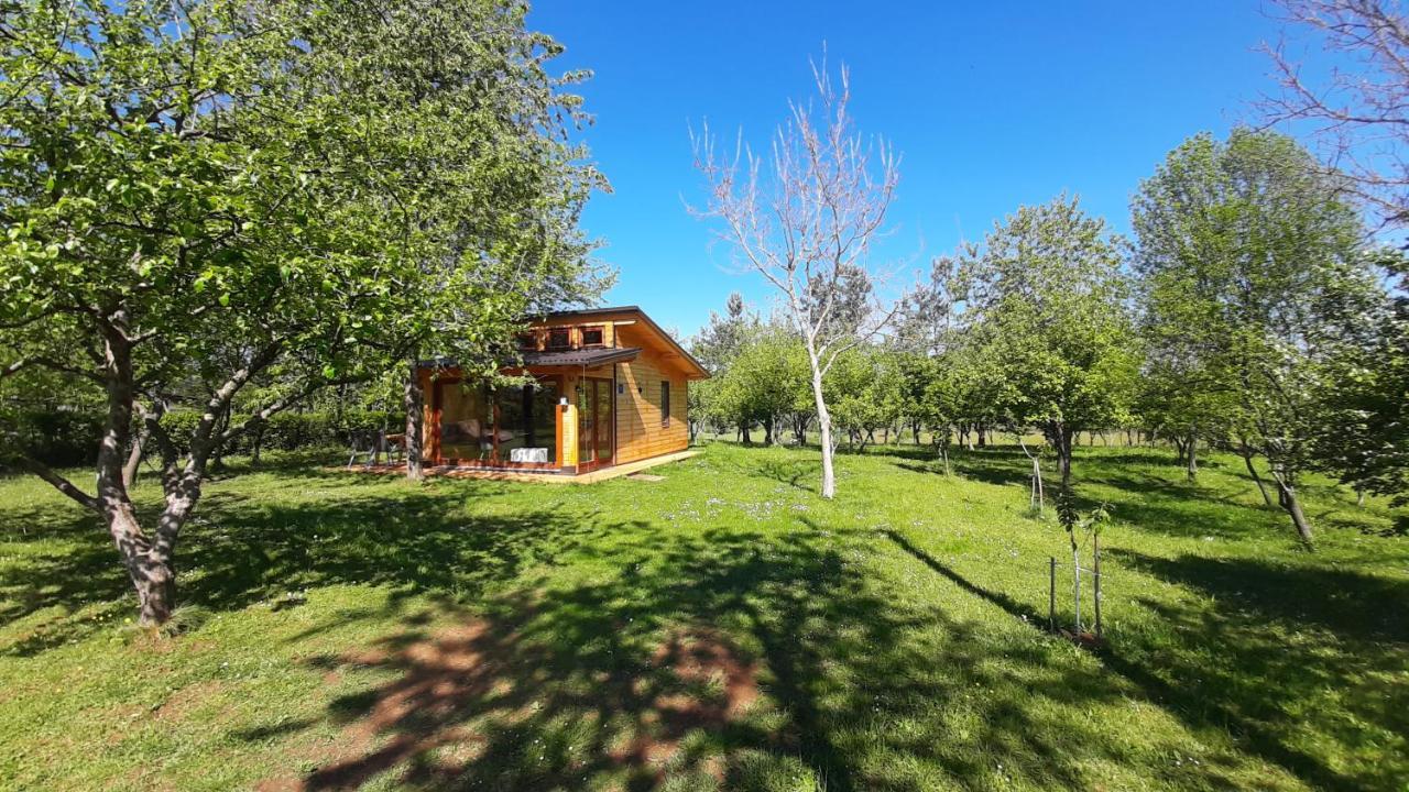 Tiny House Grabovac Villa Rakovica Dış mekan fotoğraf