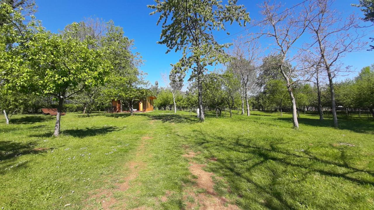 Tiny House Grabovac Villa Rakovica Dış mekan fotoğraf