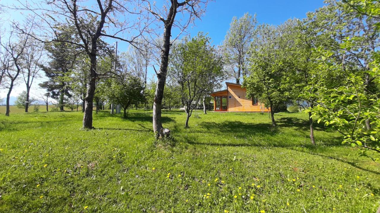 Tiny House Grabovac Villa Rakovica Dış mekan fotoğraf
