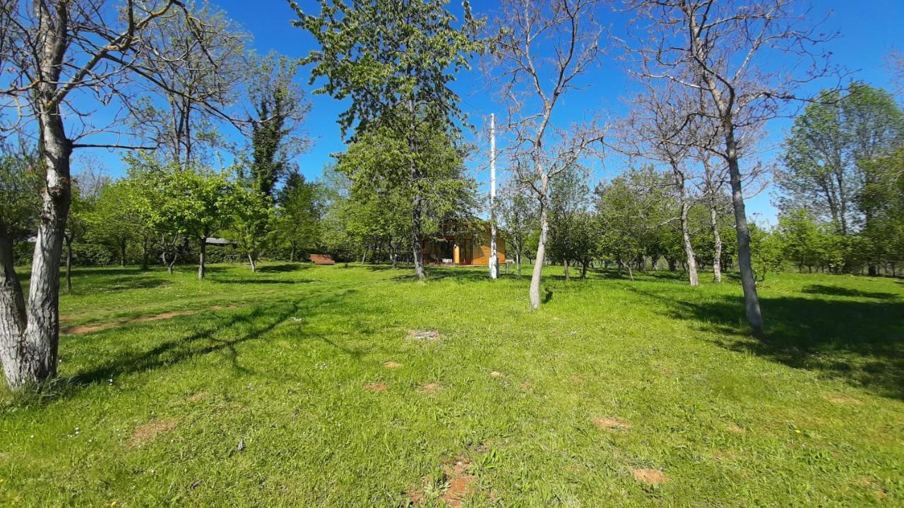Tiny House Grabovac Villa Rakovica Dış mekan fotoğraf